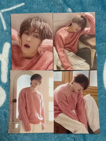 야기 유세이 쭉쭉 트레이딩 카드 4장 세트