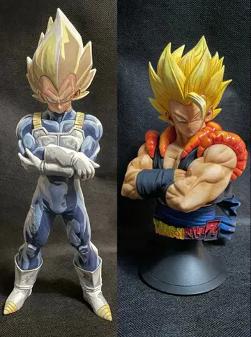 오지터 베지터 재도색품