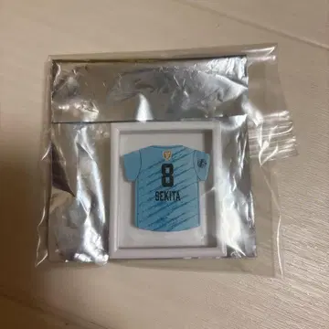 세키타 세이다이 선수 마그넷