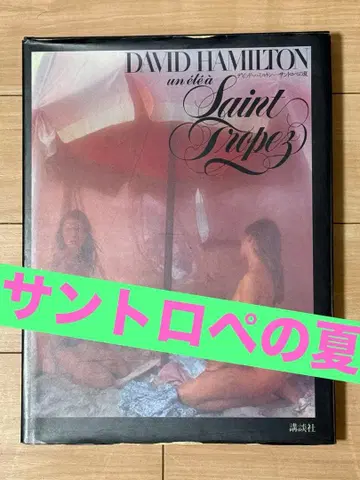 데비드 해밀턴 생 트로페의 여름