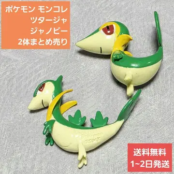 몬코레 낫 너트 몬코레 낫 낫 포켓몬