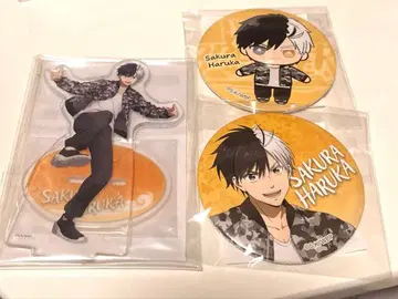 사쿠라 하루카 세가 럭키 쿠지 세트