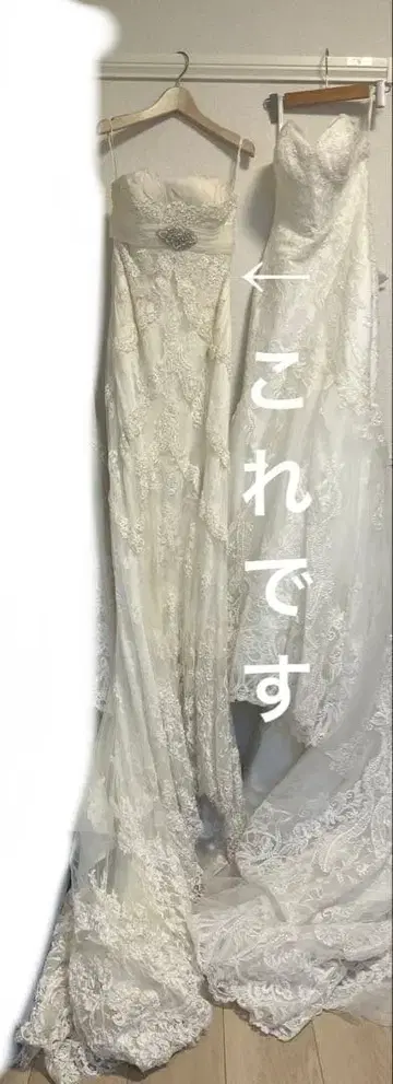 [ 레어 ] 프로노비아스 웨딩 드레스