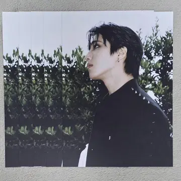 스키즈 한 사진 보드 5장 세트 DOIT 일반ver 솔로 포스터