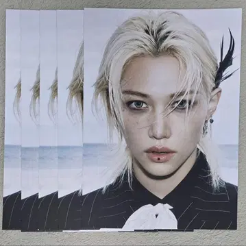 스키즈 필릭스 포토보드 5장 세트 DOIT 일반ver 솔로 포스터