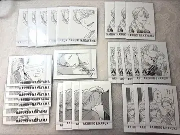 기븐전 파샤코레 아키히코, 슌슈 29장