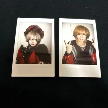 Royz   폴라로이드