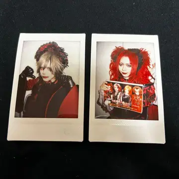 Royz 이쿠나기 코다이 폴라로이드