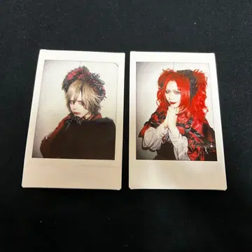 Royz 이쿠나기 코다이 폴라로이드