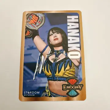 HANAKO 트레이딩 카드 토키와테이 이케부쿠로 히가시구치 스타덤점