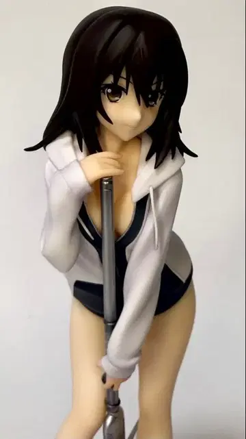 스트라이크 더 블러드 히이라기 유키나 알터