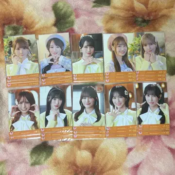 이코라브 코모레비 메조포르테 브로마이드 전 멤버 풀컴프