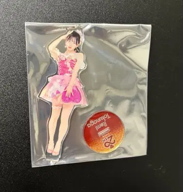 AKB48 SPECIAL 복권 아크릴 스탠드 일본 무도관 토쿠나가 레이미