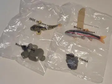 입체도감 카로라타 우구이/카지카