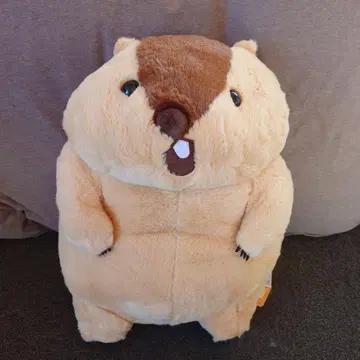 마모트 봉제 인형