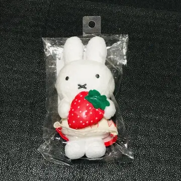 딸기 스트로베리