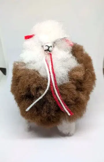 복슬복슬 알파카 씨