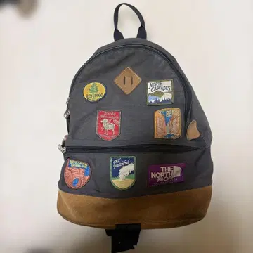THE NORTH FACE 패치 백팩