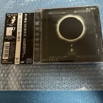 단종 MORRIE/그림자의 향연