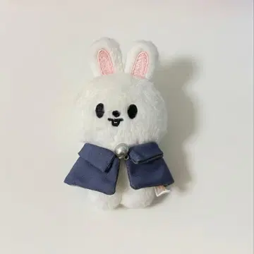 skzoo 10cm 봉제 인형 magicschool Leebit
