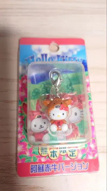 헬로키티 적우 버전 구마모토 한정판