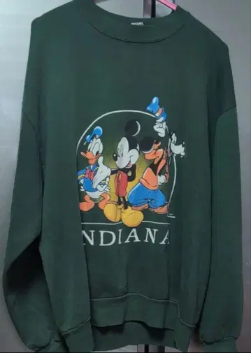 디즈니 트레이닝복