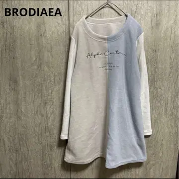 브로디아 BRODIAEA 바이컬러 티셔츠 플리스