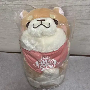 [ 새상품 ] 충견 모치시바 데데ㄴ토 초 BIG 봉제 인형 사쿠라 개