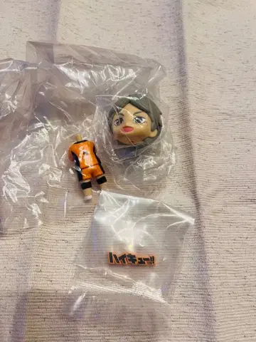 하이큐 넨도로이드 피규어 스가와라