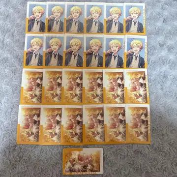 프로세카 텐마 츠카사 에피카 18b 묶음 판매