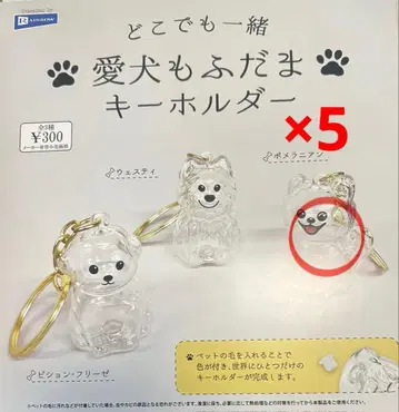 가챠 어디든 함께 사랑스러운 강아지 모후다마 키링 포메라니안 x 5