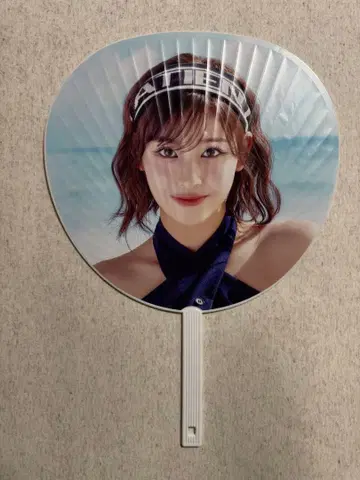 이시이 란 부채