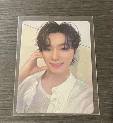 SEVENTEEN FC 갱신 특전 디노