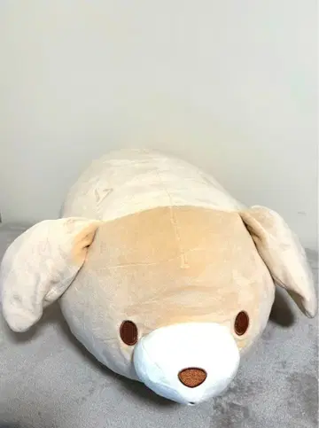 멍하니 강아지 BIG 봉제 인형