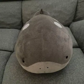 두오 봉제 인형