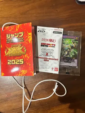 빅토리 여권 2025 점페스