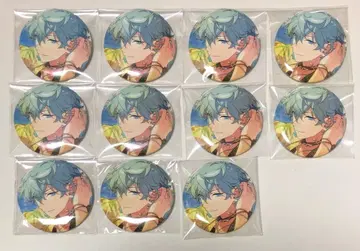 테마 스카우트 세나 앙스타