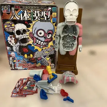 인체 모형 게임 완구