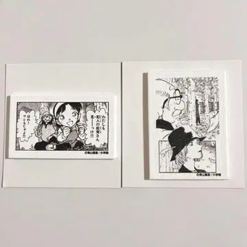 명탐정 코난 랜덤 캔버스 마그넷 2종 세트