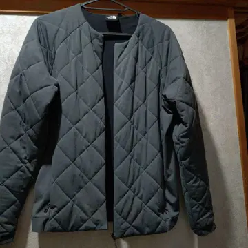 THE NORTH FACE 그레이 다운 자켓