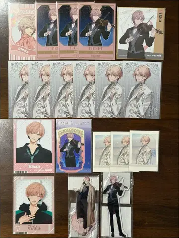 호로스타 릿카 묶음 판매