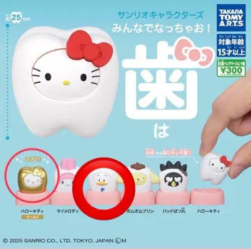 다 함께 되자! 치아. 레어 키티와 페클 세트 가격!! 12/14까지!