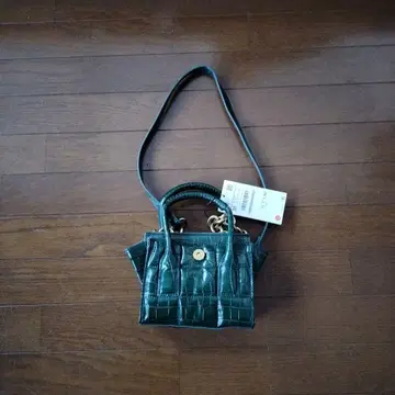 ZARA 그린 미니 숄더백