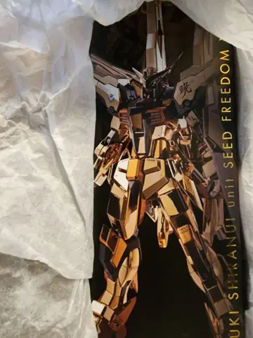 메탈 로봇혼 아카츠키 [시라누이 장비]