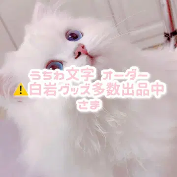 부채 문자 오더