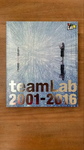 teamLab 2001-2016 팀라보