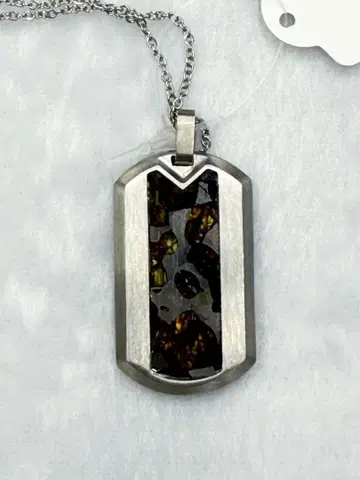 레어 입수 곤란 팔라사이트 운석의 여왕 스테인리스 소재 펜던트