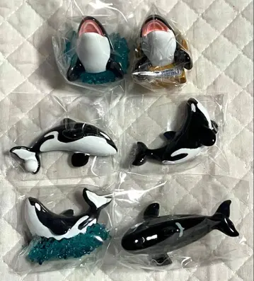 레어 카모가와 씨월드 랜덤 마그넷 범고래
