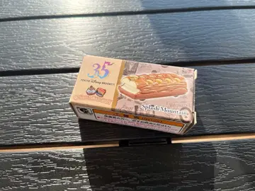 디즈니 리조트 비클 컬렉션 토미카 스플래쉬 마운틴