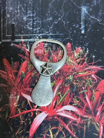 레어 팀캠피 스타 풀 탭 팝탑 펜던트